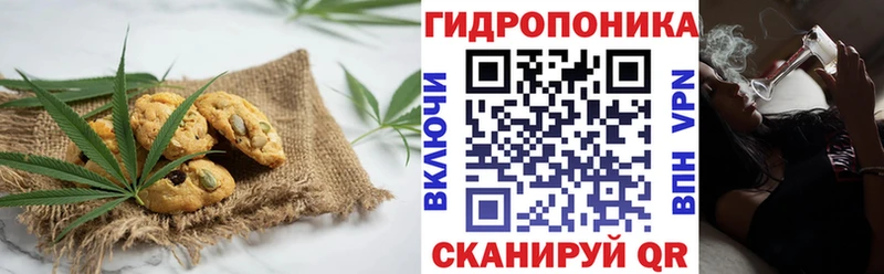 магазин  наркотиков  Менделеевск  Cannafood конопля 